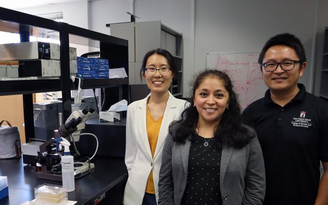 Jing Zhao, Cristal Zuniga, and Changqi Liu stand by their algae in a lab.