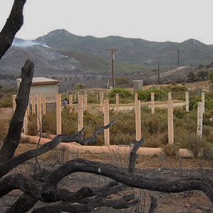 A Free-Atmosphere CO2 Enrichment ring deployed at Sky Oaks Field Station.