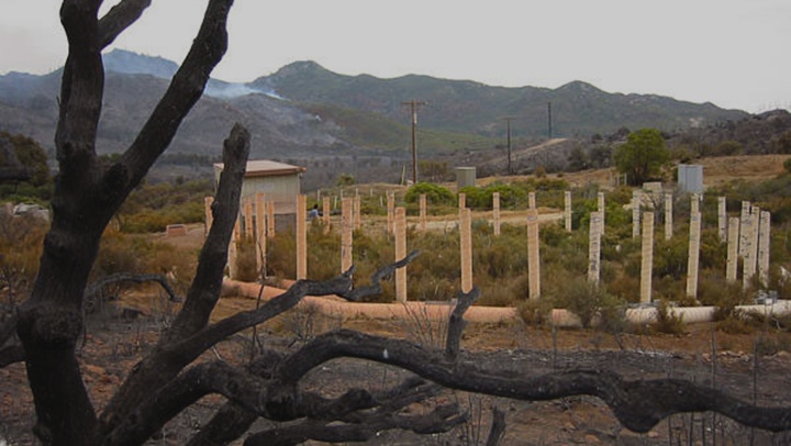 A Free-Atmosphere CO2 Enrichment ring deployed at Sky Oaks Field Station.