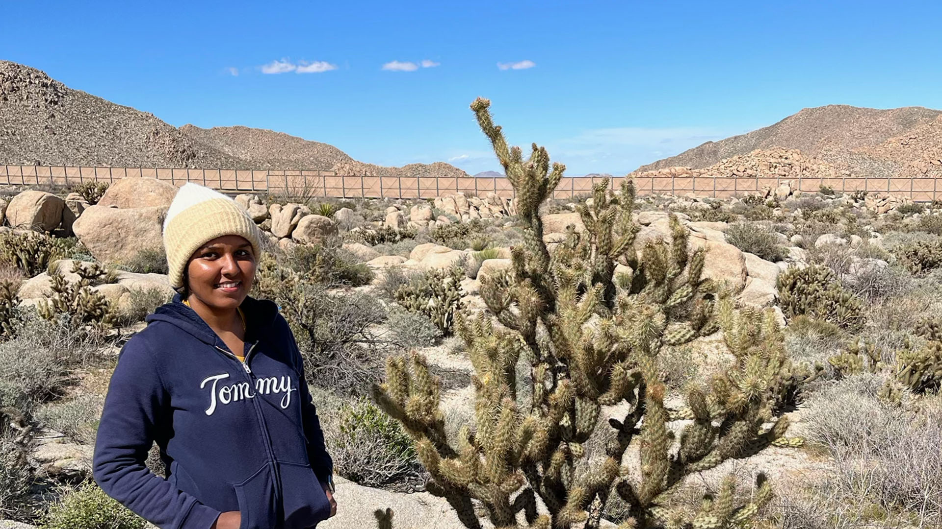 The Study of Sexual Systems and Consequences in the Genus Cylindropuntia