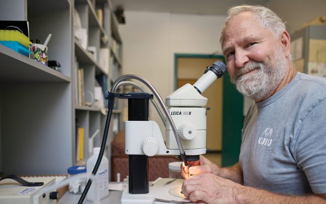 Marshal Hedin in lab using a microscope.