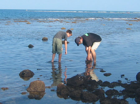 Bob and Conner Tidepooling during Hawaii sabbatical