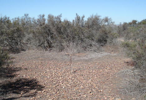 Dry vernal pool