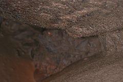 female Nesticus in web