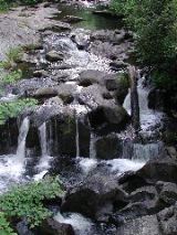 West Fork Pigeon River