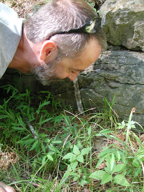 behavioral ecologist at work