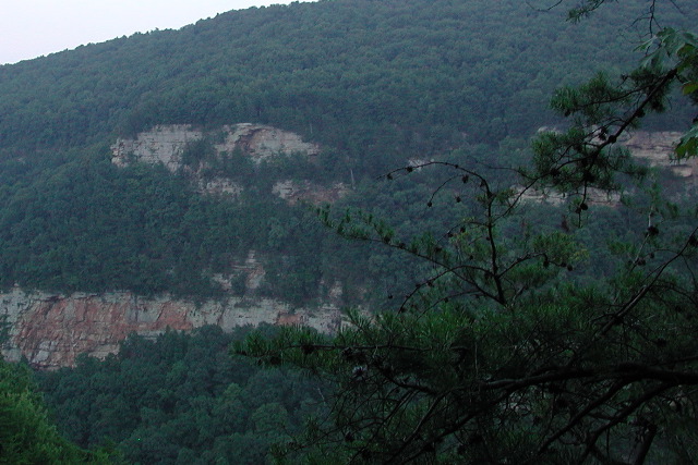 Cloudland Canyon