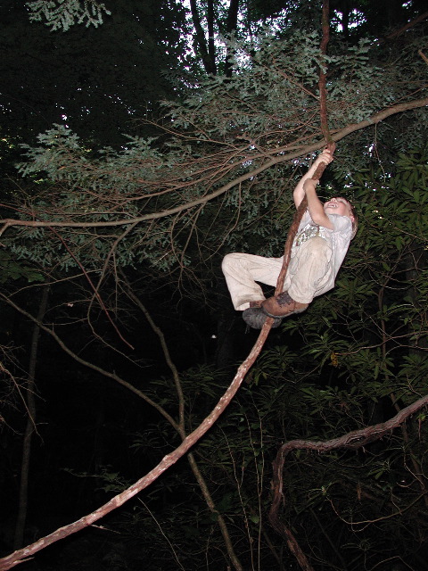 climbing lianas
