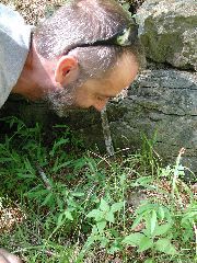 behavioral ecologist at work