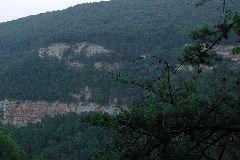 Cloudland Canyon