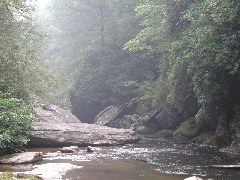 the Chattooga 