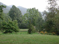 view from fred's porch