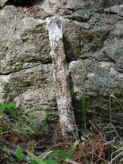 Sphodros tube