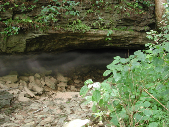 Salt River Cave, breathing.....