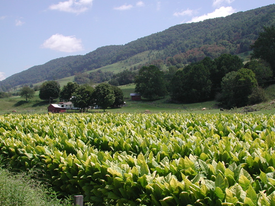 southwestern Virginia