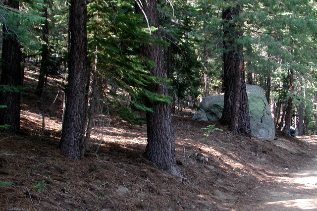 above Lake Tahoe