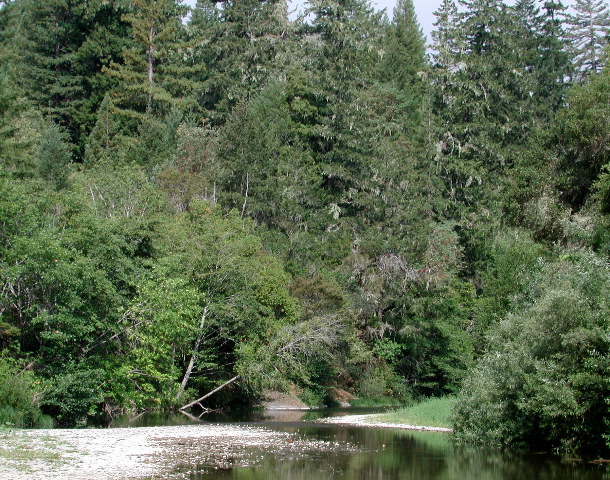 Navarro River