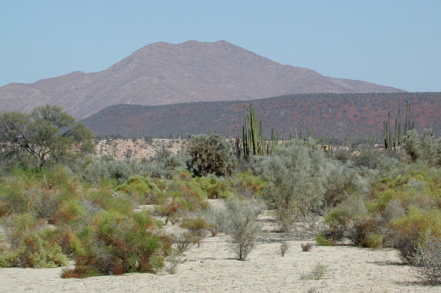 wash near road to BLA