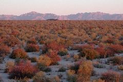 East of San Felipe