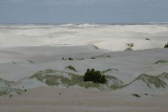 dunes near Guerro Negro, BCN