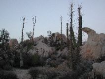 near Catavina