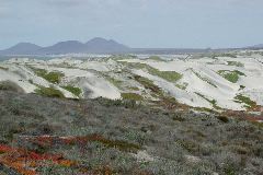 El Socorro Dunes, BCN