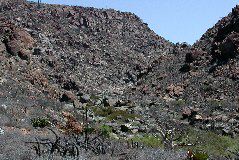 south of Chapala