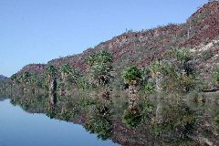 Laguna San Ignacio