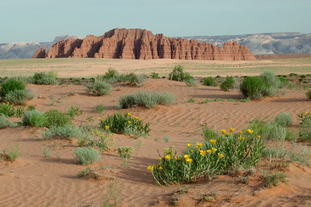 San Rafael Dunes, UT