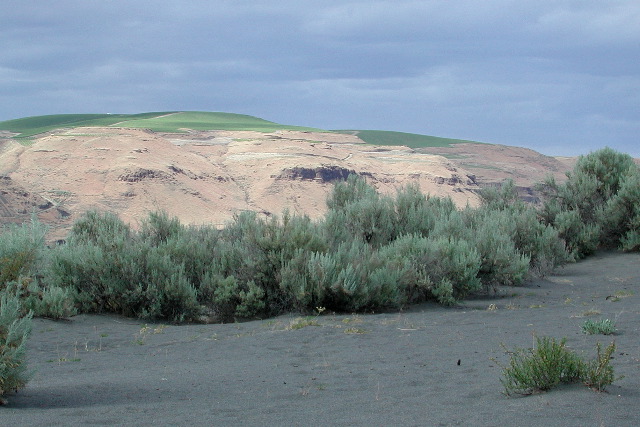 along Columbia River, WA