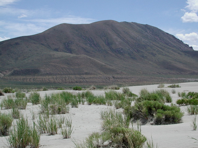 Alkali Lake Dunes, OR