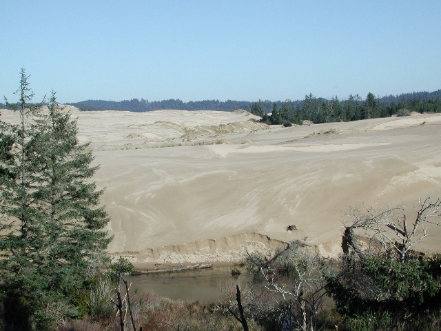 Oregon Dunes, OR