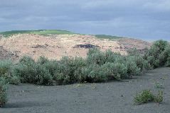 along Columbia River, WA