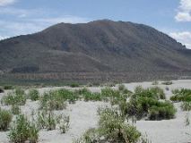 Alkali Lake Dunes, OR