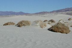 Olancha Dunes, CA