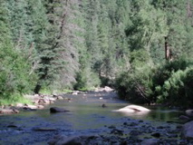 upper Pecos River