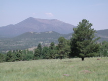 San Francisco Mountains, AZ