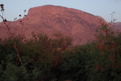 Whetstone Mountains