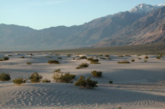 Saline Valley