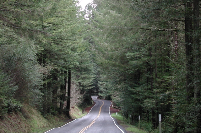 Hwy 36