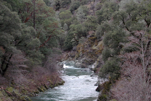 North Fork of the Trinity