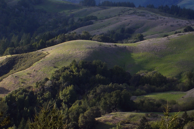 Santa Cruz mountains