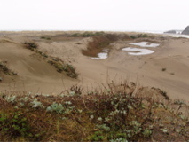 Ingelnook Fen dunes