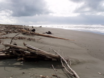 south spit, Humboldt Bay