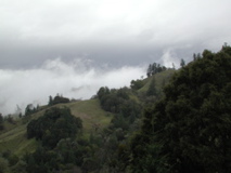 the mystical Humboldt county......