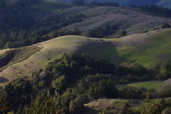 Santa Cruz mountains