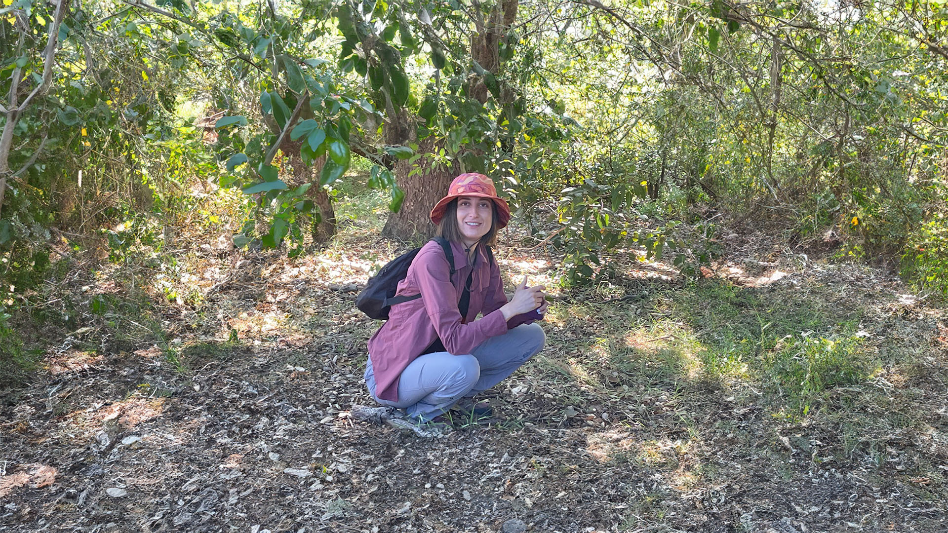 Resilient Restoration: Drought Resilience Amongst Southern California Populations of Quercus Agrifolia on Tribal Lands